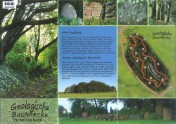 Download - Flyer Geologische Baumhecke Download - Flyer Geologische Baumhecke